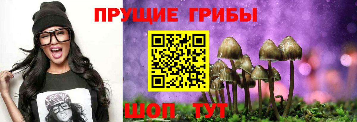 Петропавловск-Камчатский  Галлюциногенные грибы Psilocybe  Вход с VPN  Галлюциногенные грибы Psilocybine cubensis 